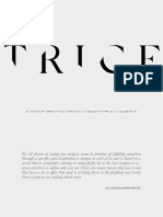 ABOUT TRICE - KIT MEDIA 2024 (FR)