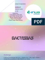 Bacterias, Exposicion