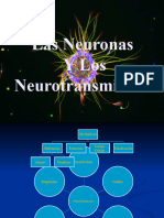 Neuron As