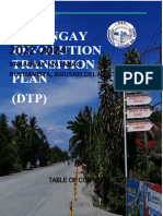 Devolution Transition Plan 2022-2024