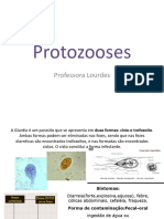 Protozooses