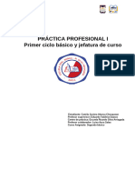 Portafolio Practica Profesional 1