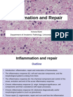 Inflammation and Repair Lecture