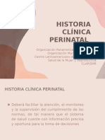 Historia Clinica Perinatal Base - Obn 2024