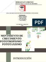 Movimiento de Crecimiento Fototropismo y Fototaxismo