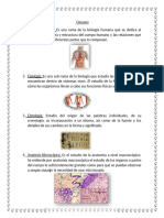 Glosario de Anatomia 500 Palabras