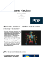 Exposición Sistema Nervioso