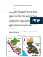 Plan de Seguridad y Salud en La Actividad