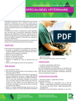 Auxiliaire Specialisee Veterinaire