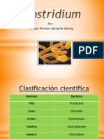 Clostridium