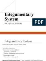 Integumentary System 23 Feb 2024