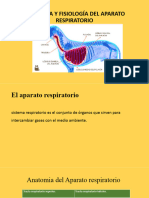 Fisiologia Del Sistema Respitratorio