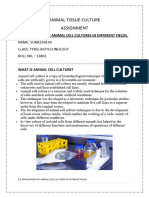 Animal Tissue Culture