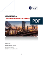 Industrie de PETROCHIMIE ET HYDROCARBURE