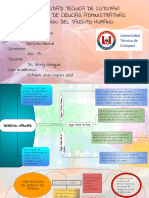 Caracteristicas Del Derecho Laboral