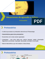 Protozoarios 20231113091050