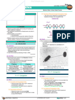 Bacterial Genetics Atf