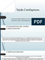 Capítulo 7 Tejido Cartilaginoso