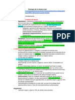 Patología de La Médula Ósea