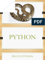 Python PDF