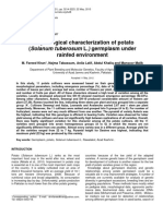 Morphological Characterization of Potato (Solanum Tuberosum L.) Germplasm Under Rainfed Environment