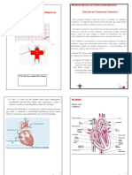 3 Manual Basico - de - Eletrocardiograma Laboratório