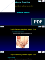 Speaker Details: Inguinal Anatomy Anterior (Open) View