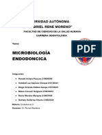 Informe Endodoncia