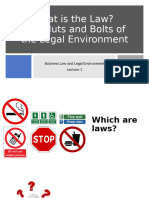 Lecture 1 Business Law and Legal Environment