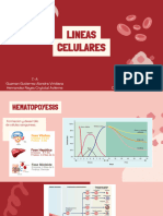 Lineas Celulares