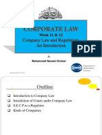 Corporate Law: Company Law and Regulation: An Introduction