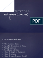 Brasil - Território e Natureza (Biomas)