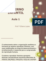 Materno Infantil - Curso Técnico de Enfermagem