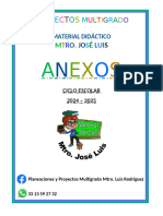 ANEXOS