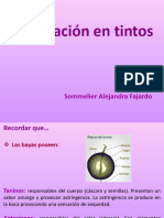 Clase 3 Vinificación en Tintos