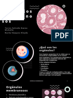 Orgánulos Membranosos