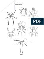 Characteristics & Classification of Living Organisms 2 QP - Removed