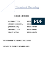 Feasibility Study of Ostrich Farming in Pakistan