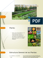 CLASE 1 Partes de Las Plantas