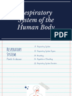 Respiratory System