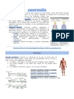 Introduccion A La Anatomia