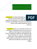 Morphology Summary Tala Shahroori