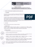 Aeropuerto de Jauja - Junín: Términos de Referencia para El Estudio de Impacto Ambiental