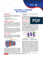 Estructura y Funcion de La Célula