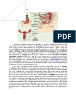 Anatomy and Physiology Den