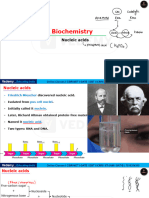 L-20 Nucleic Acid