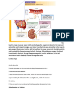 Cardiac Drugs