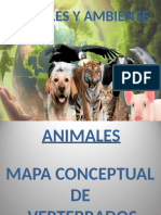 Tema de Cs Naturales - Animales y Ambiente