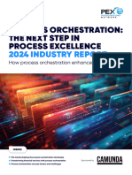 Process Orchestrationreport 2024