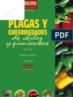 Enfermedades de Pimientos y Chiles